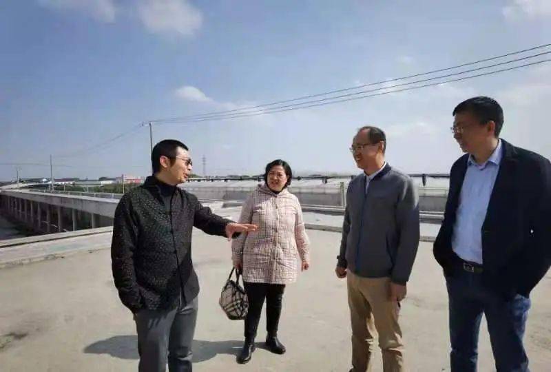 大咖来了消泾中日手作村独角兽即将诞生