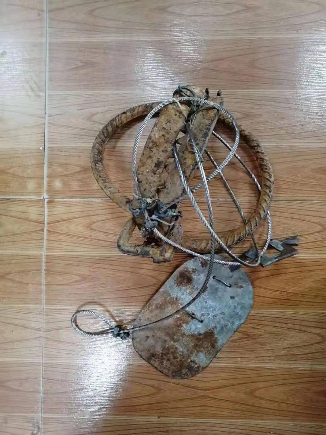 骑车从泉州到南安一山上抓蜜蜂却被兽夹夹住脚近5小时后