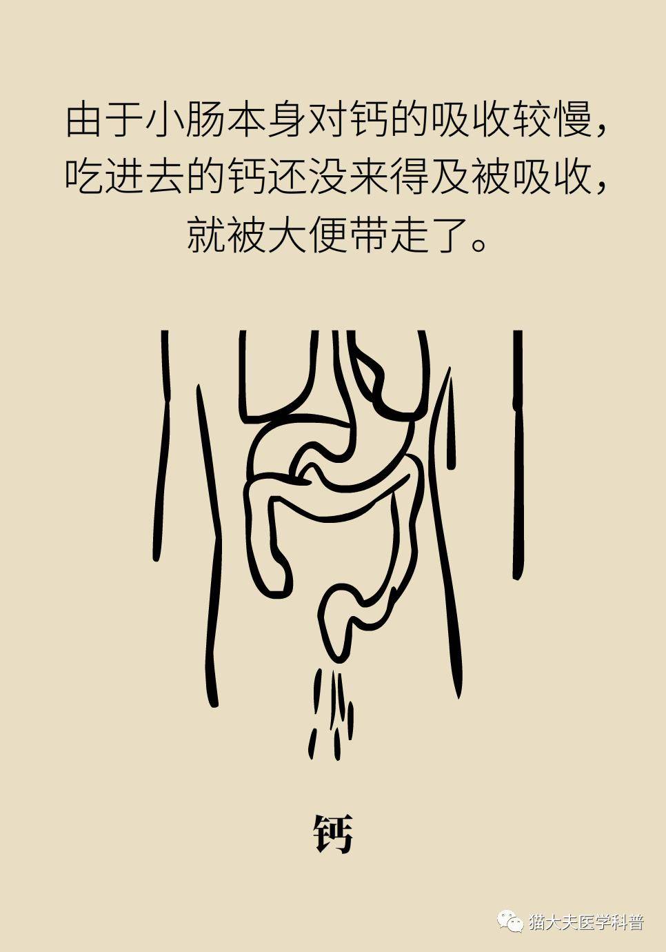 什么骨枯成语_成语故事简笔画(4)