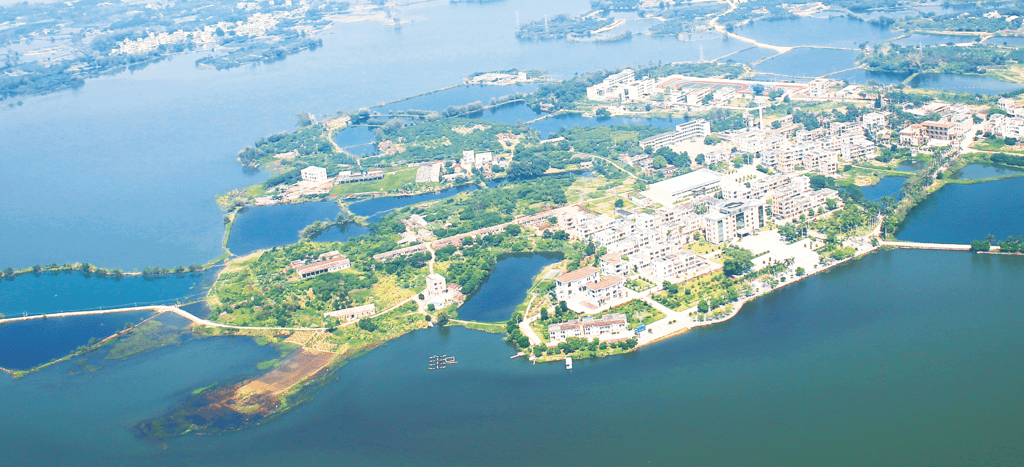 政府合作集团全力助推广东湛江廉江市招商引资围绕优势产业补链强链延