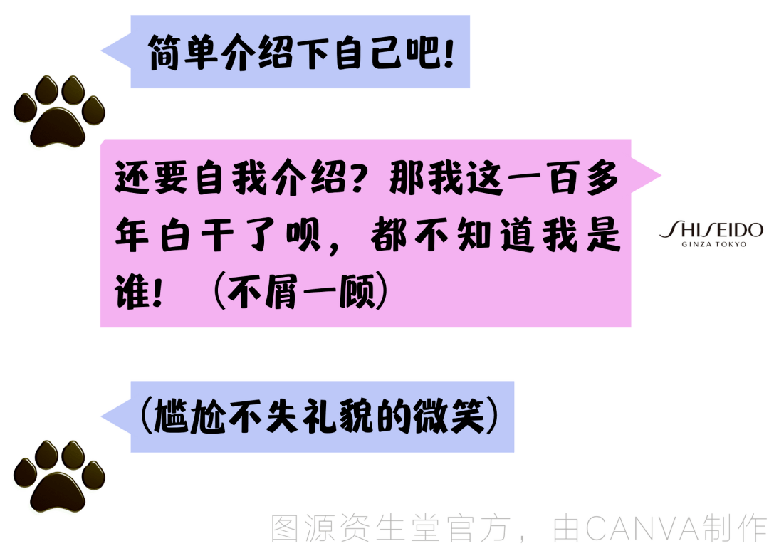 人口普查短视频乘风破浪_乘风破浪的姐姐