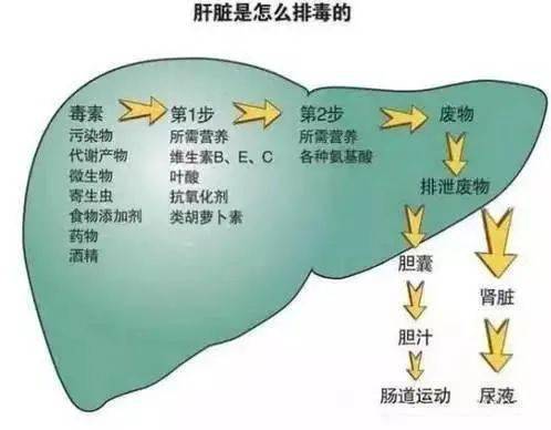 189e90c6c46145d28fc0ac1f98955acd.jpeg