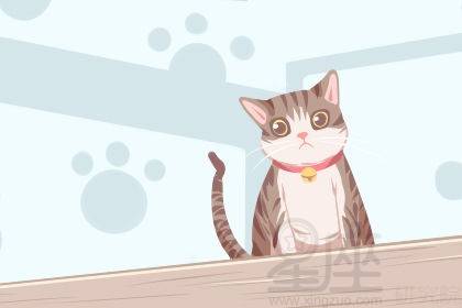 梦境解析，为何梦见猫在身边，赶走时却被踩醒？