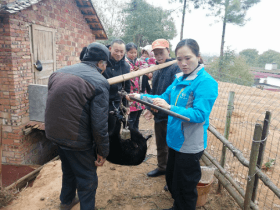 如何帮助贫困残疾人口脱贫_脱贫攻坚图片(2)