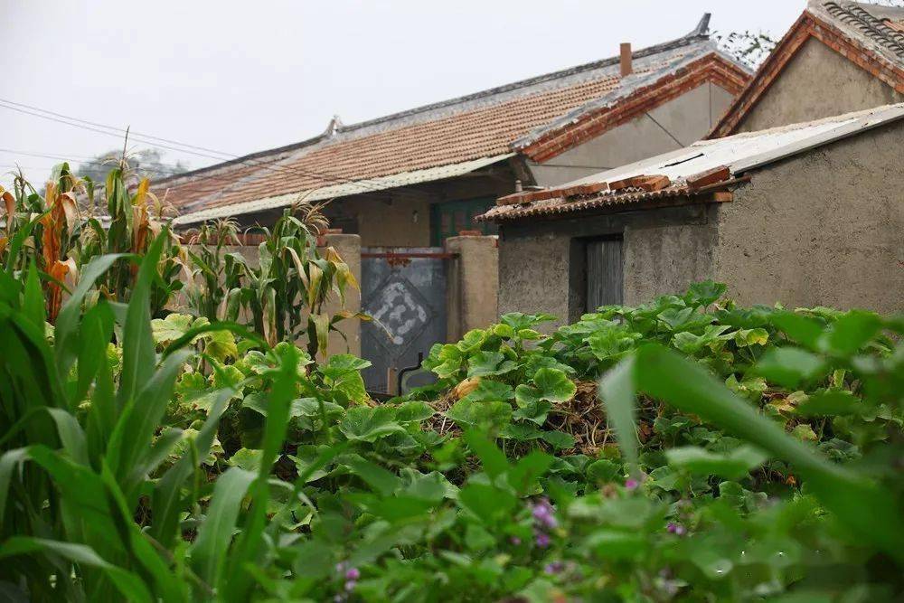 寿光市里人口_寿光市里照片(3)