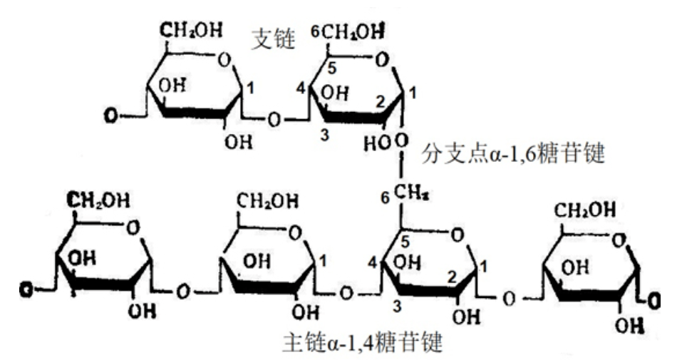 糖苷键化学结构图片