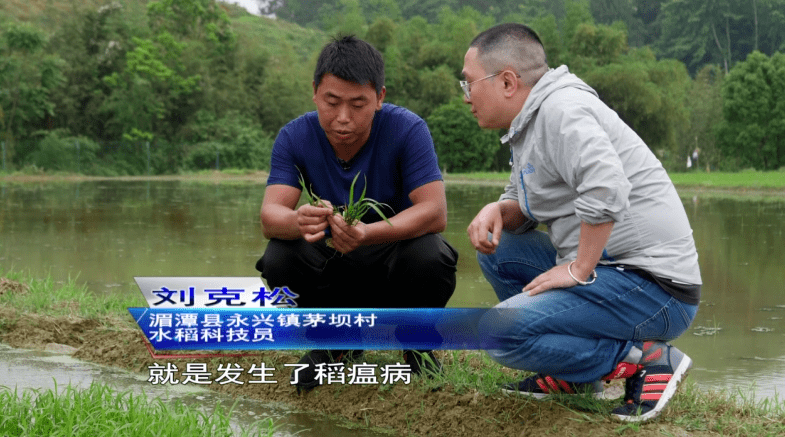 靠自己努力强大的人最耀眼初中毕业的水稻专家刘克松