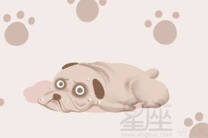 孕期梦境解析，我怀孕三个多月时梦到抱着小狗睡觉的深层含义