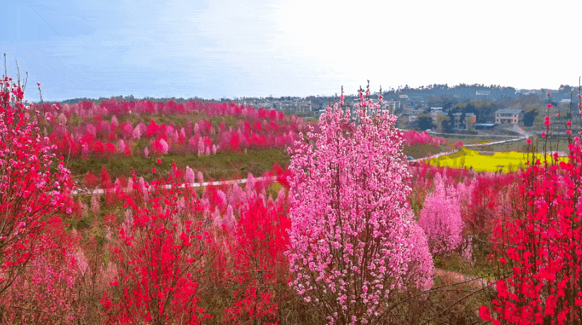 841_469gif 动态图 动图