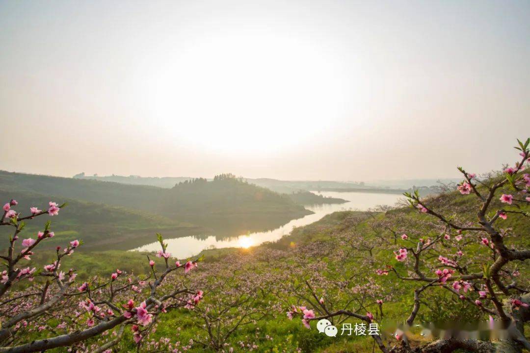 下一站我们来到齐乐镇梅湾村的国家3a级旅游景区—丹棱·桃花源景区