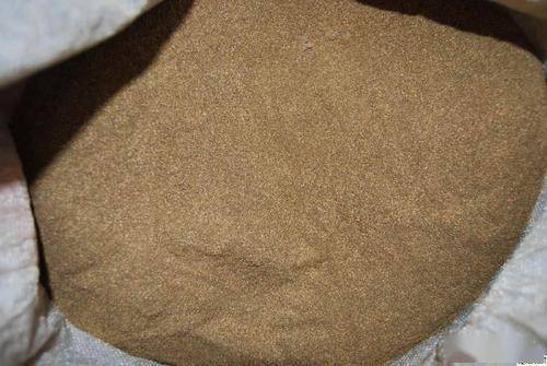 北方地区药用植物龙胆草种子繁殖技术