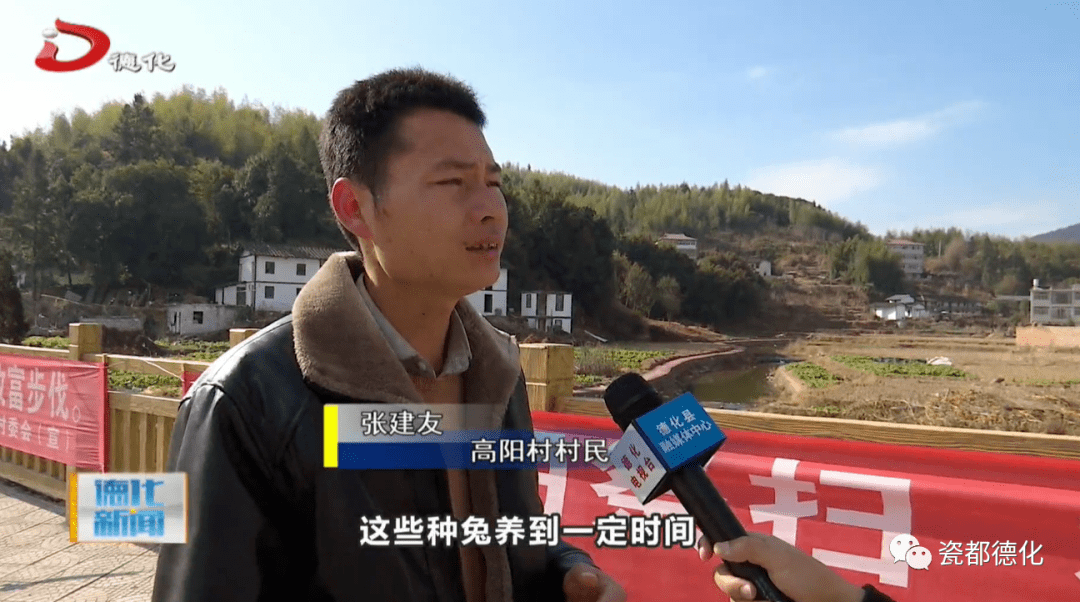 种羊多少钱一只