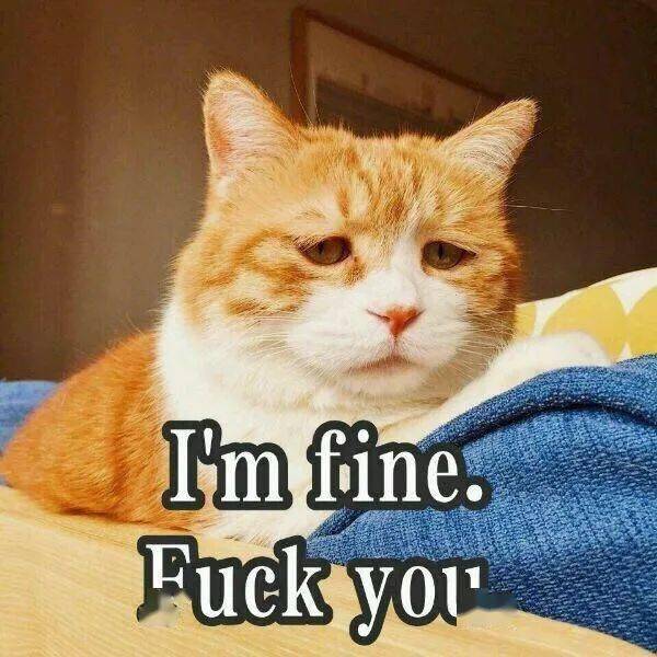 Academic Reading护肝小技巧 如何2x倍速阅读英语学术文献 逻辑