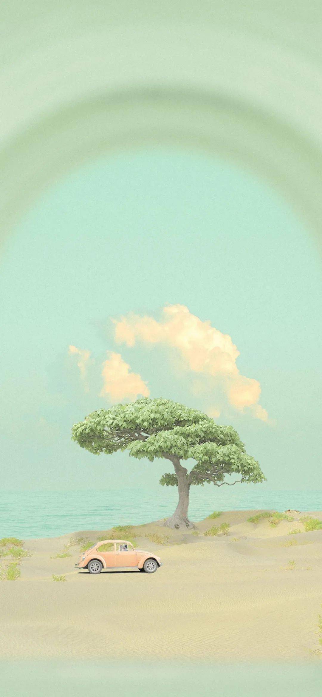 壁纸丨平安喜乐得偿所愿