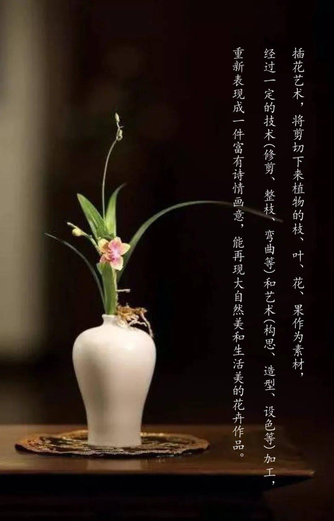 中国传统文化之旅系列课程第二十讲——《中式插花》_艺术