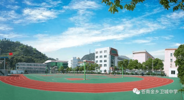 苍南县金乡卫城中学图片