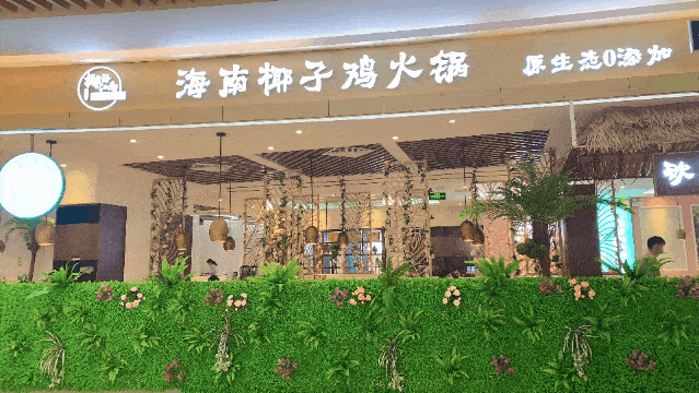 椰子鸡90的深圳人都来打卡88元抢294元椰语江南海南椰子鸡火锅清湖店