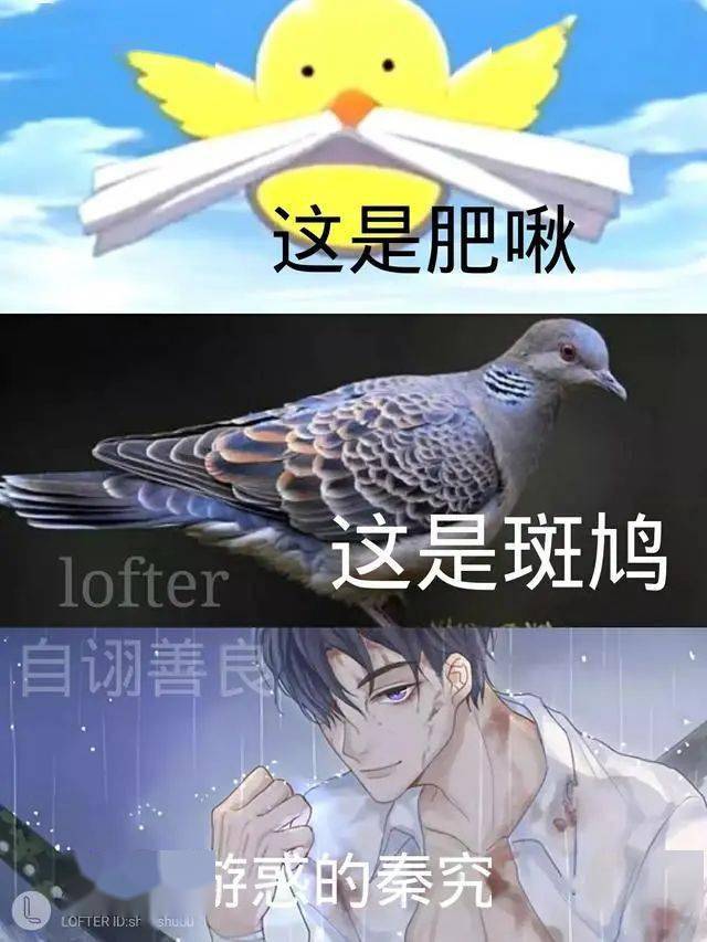 这是什么沙雕改图, 每次看到都笑出猪叫! ! !