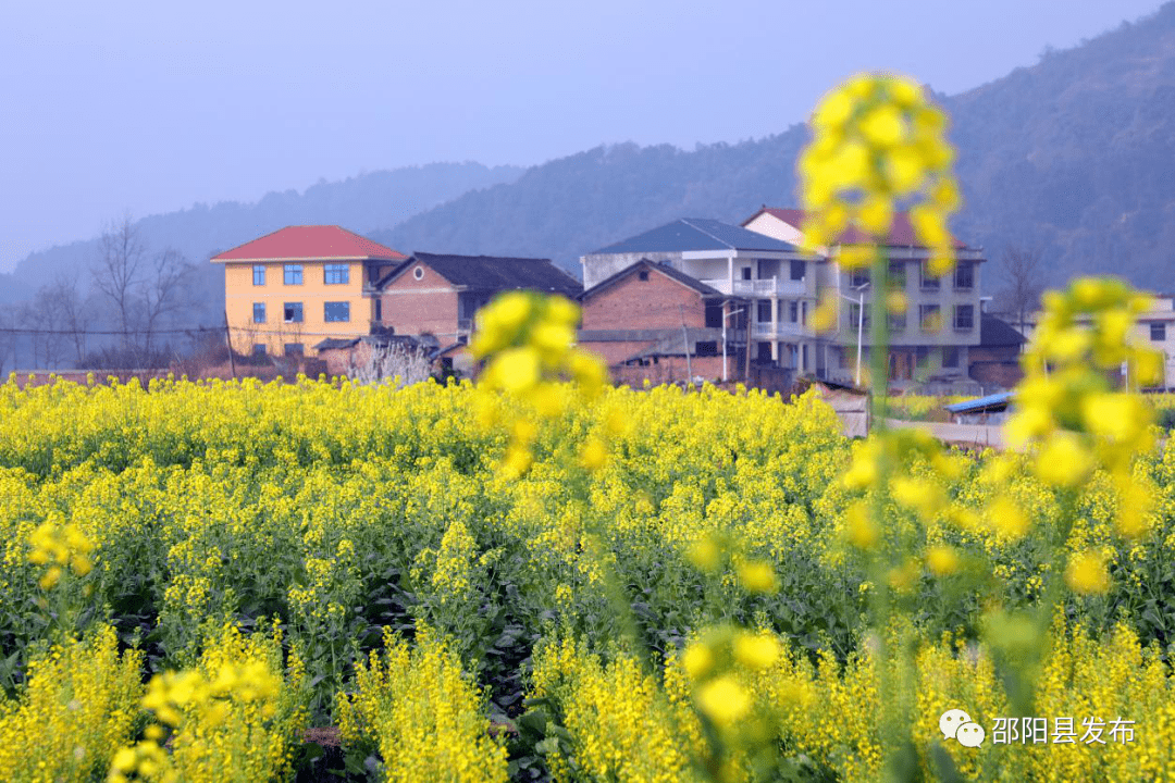 邵阳县茶铺村人口_邵阳县塘渡口龙井村(2)