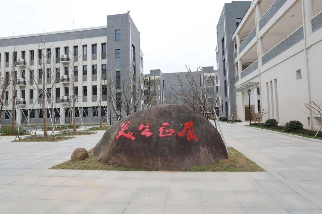 东城中心小学文萃校区开学啦丨新校初见⑦