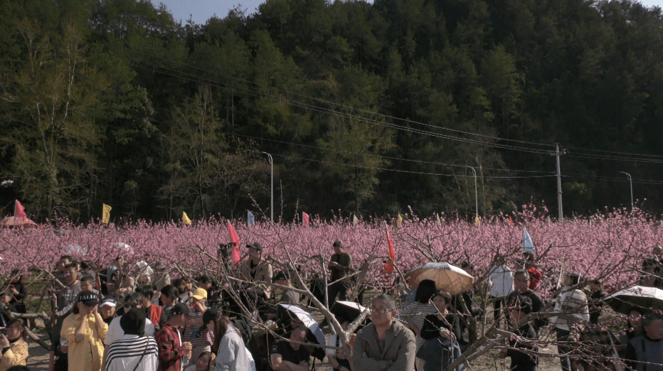 新岭村人口_东城涡岭村人口(2)