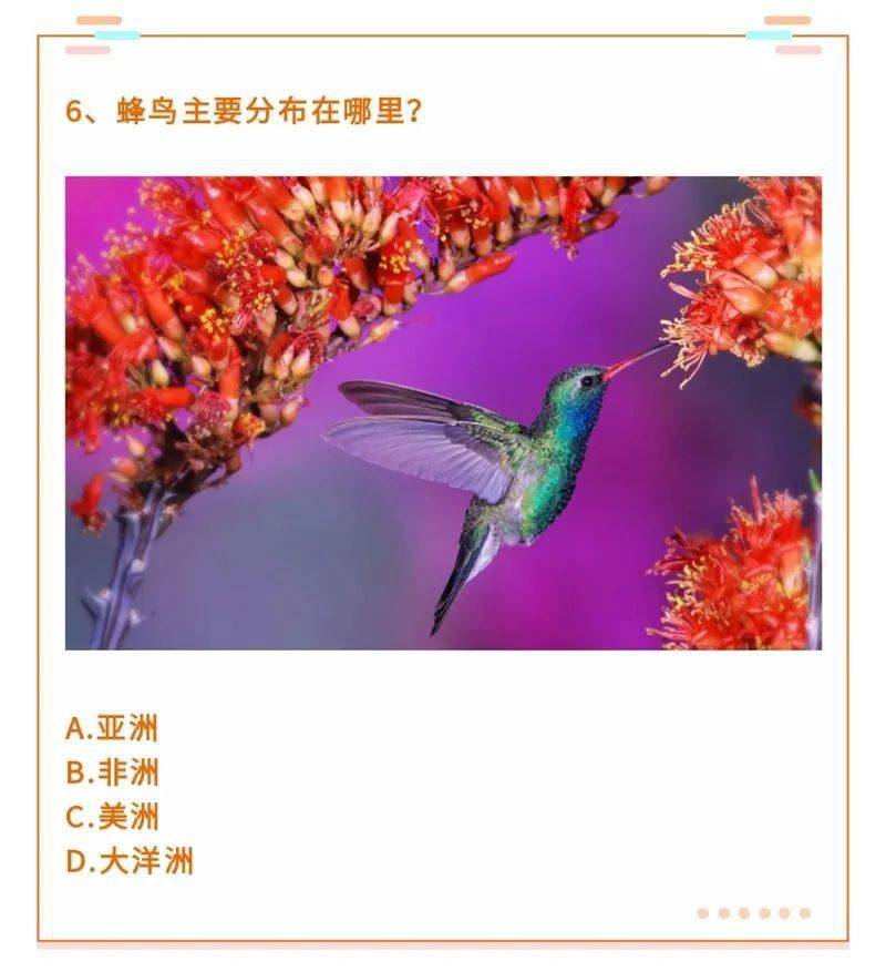 画报有奖问答36奔牛节是西班牙哪个城市的传统蜂鸟主要分布在哪里