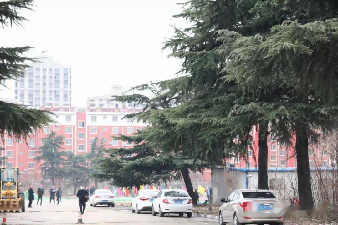 真的来了!山东师范大学峄城实验高级中学开工奠基