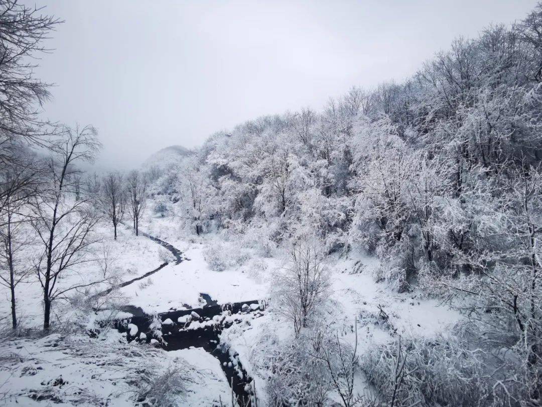 凤县岭南公园看雪图片