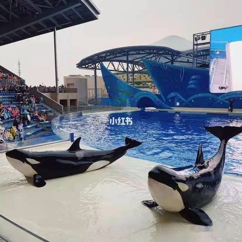 3月13日上海海昌海洋公园鲸奇趣海洋特惠一日199元