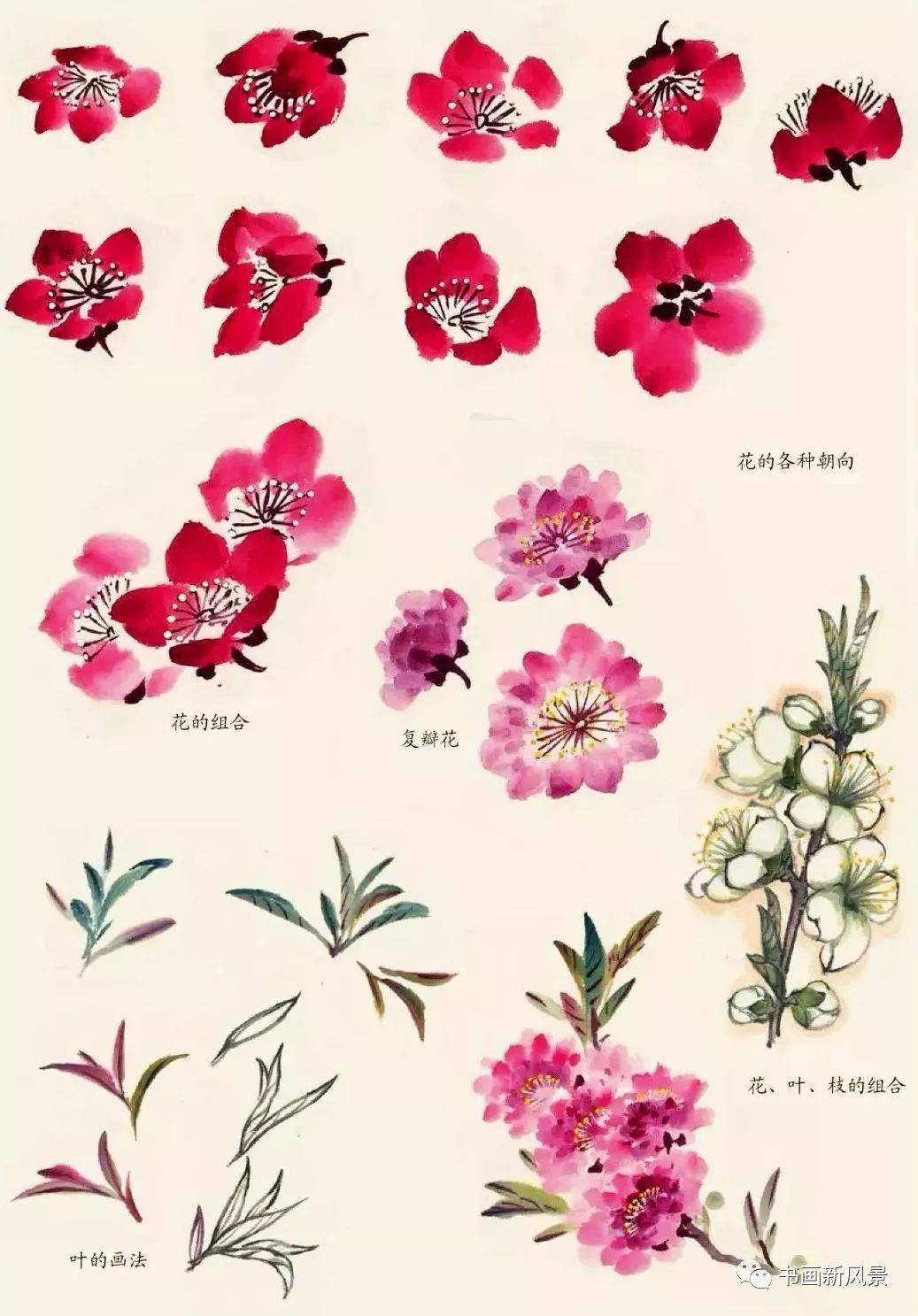 春天这样画春花美不胜收