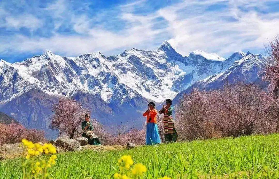 一年仅30天雪域之巅上的春天西藏林芝桃花之美三生三世不如遇见你