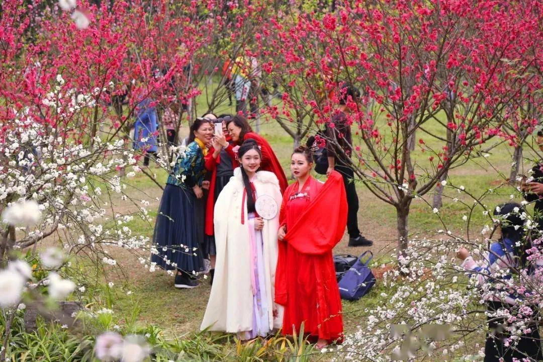 怎样可以快速背诵桃花源记 1c5eaeaebfea499bb94bf0922a610176.jpeg