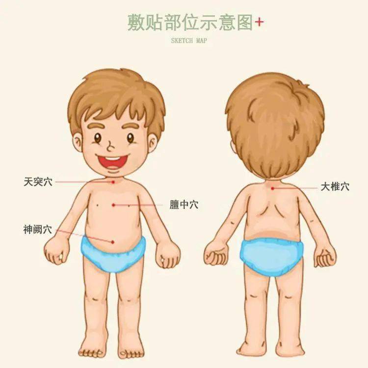 春季助长高科学方法要找好春季助长穴位贴敷马上开始了