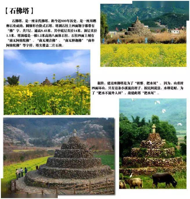 十里蓝山花海,寻梦谷观瀑追碟1日游_景区