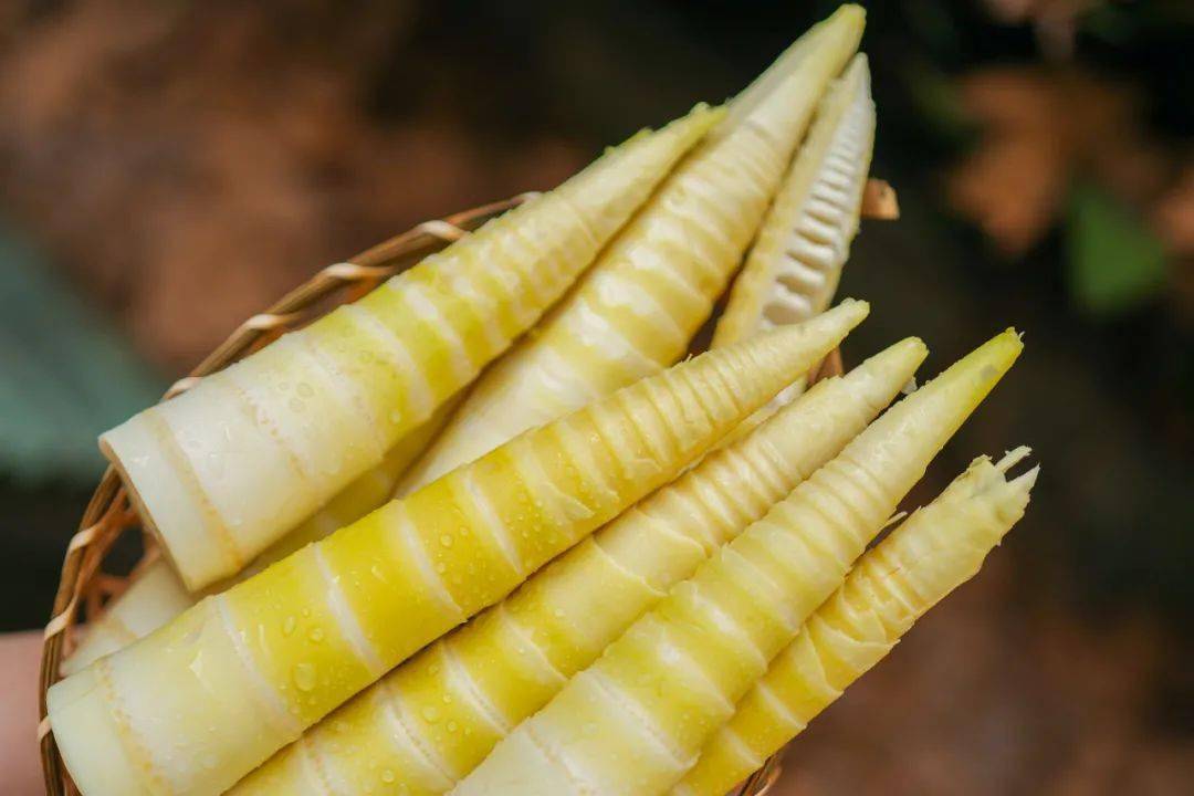 什么食材有粘性 ca85bbd98f8049f3885c32bd6d76f78e.jpeg