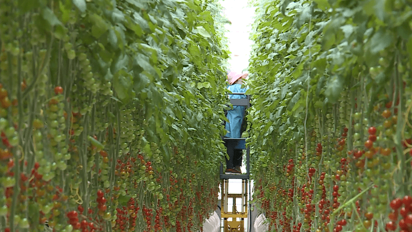 张掖经济总量相当于_张掖七彩丹霞图片(2)