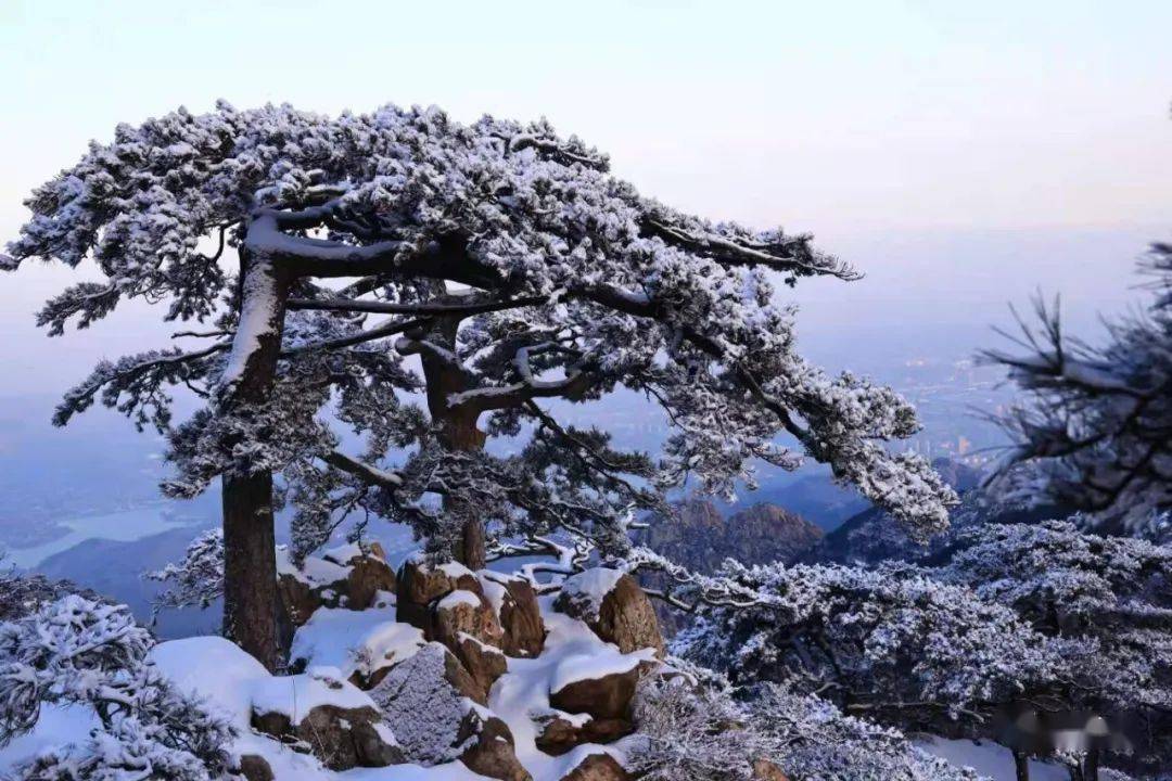 一路苍松万壑涛 料峭春雪入画来_泰山