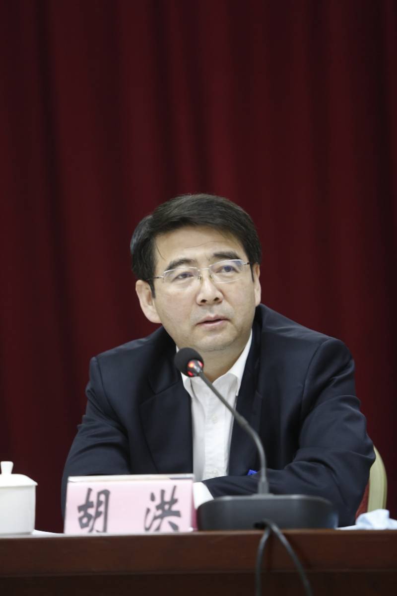 惠州两会市委书记胡洪参加审议时强调落实双区驱动