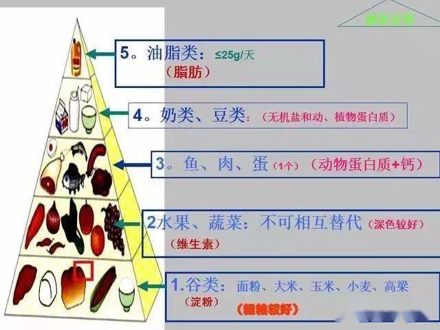 da0a76d9777c4561902a4a63ec497ae4.jpeg