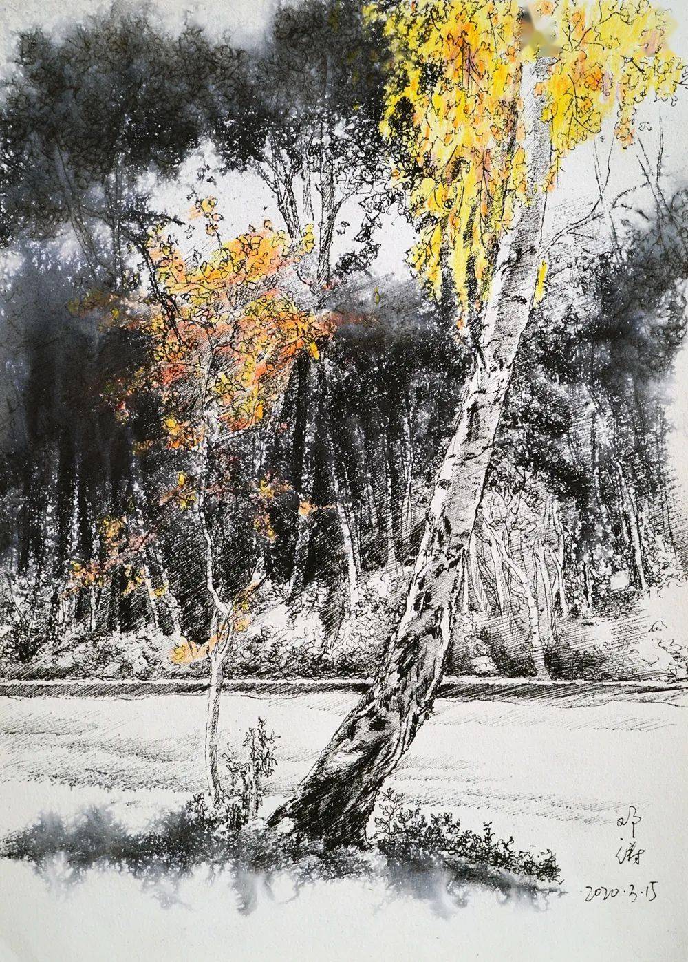 港城文化长廊 | 邓涛钢笔画展