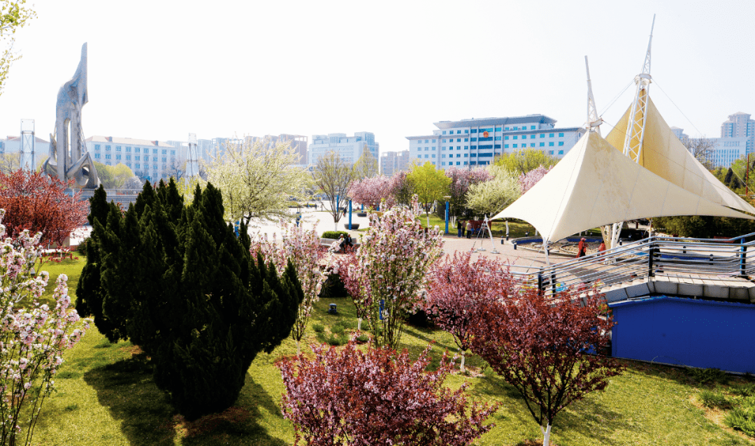 创建为民东丽区海颂园社区小小约吧约出了啥