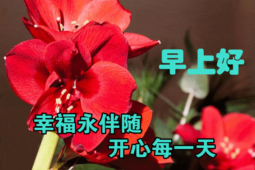 3月3日最漂亮早上好动态表情图片大全早晨好动图美图大全