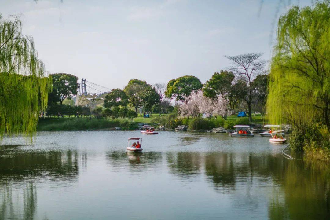 柳梢青岸草平沙图片