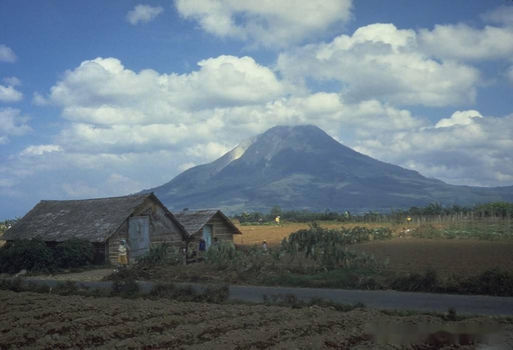 印尼火山噴發灰雲達萬里高空網友擔心會全球變冷動物滅絕