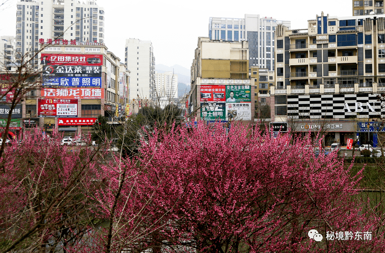 头条县城处处溢芬芳67宜居黄平春意浓