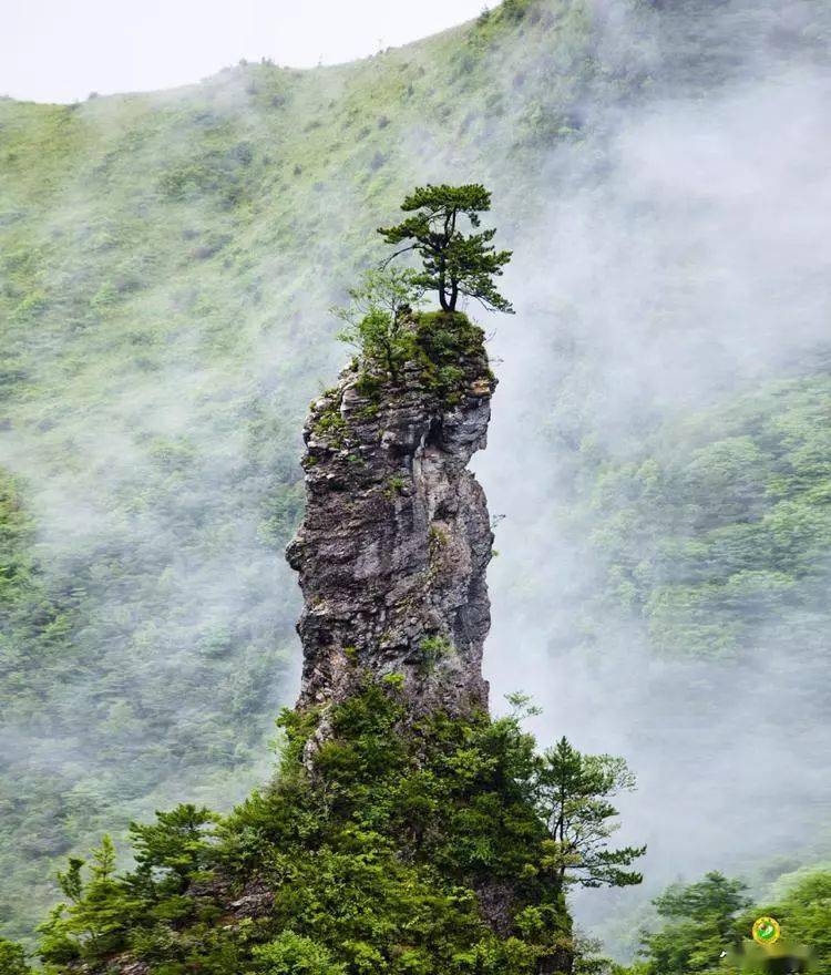 大竹县多少人口_大竹县地图(2)