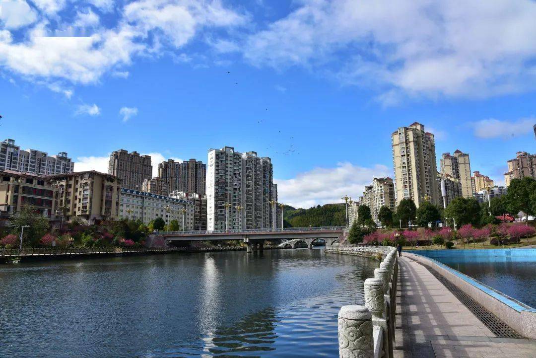 泰顺和寿宁经济总量对比_多肉玉免和寿宁的图片(2)
