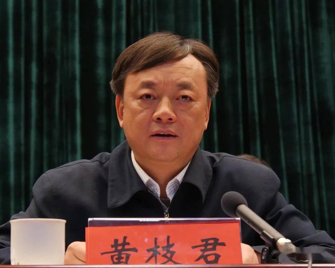 县长黄枝君强调,各乡镇,各部门要深刻认识到推动乡村风貌提升和农村人