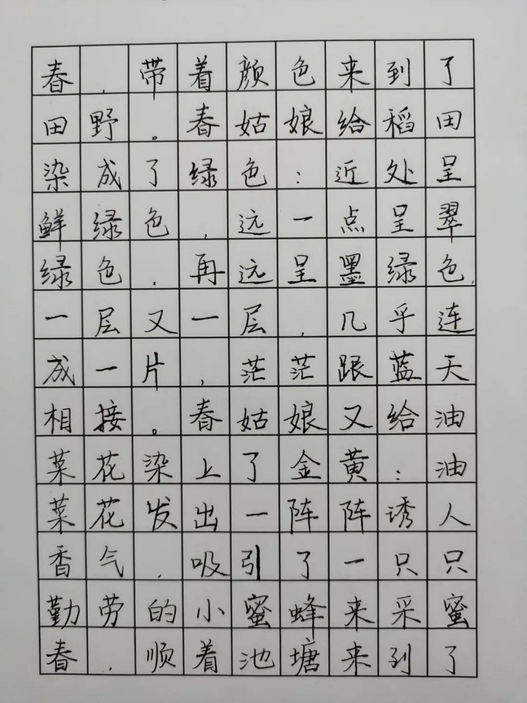 教师规培一笔一画书汉字之美记上海市杨泰实验学校规培基地校三笔字