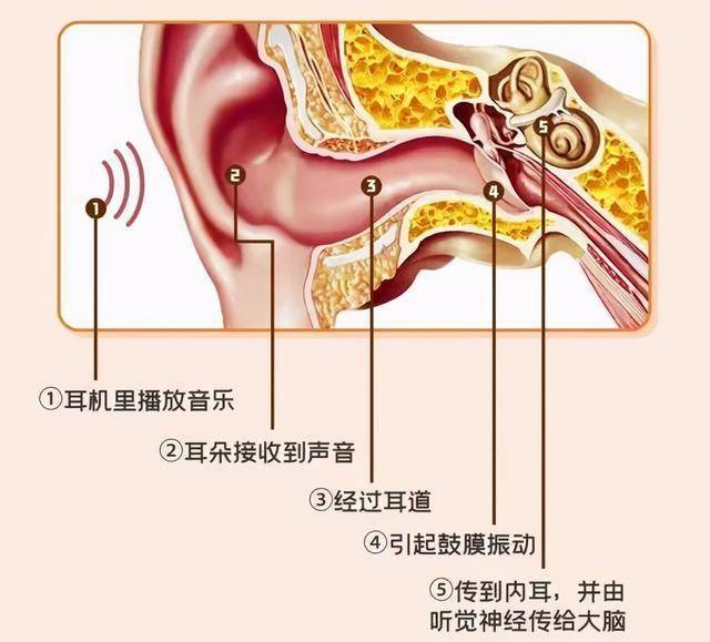 耳机一戴你的耳朵可能已经受损了保护耳朵要做到3步